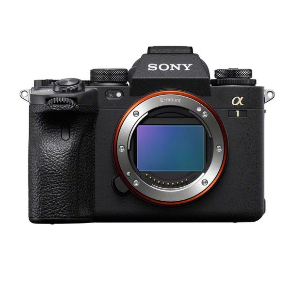 Picture of Sony α1