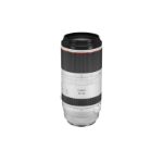 Picture of Canon RF 100-500mm F/4.5-7.1 L IS USM