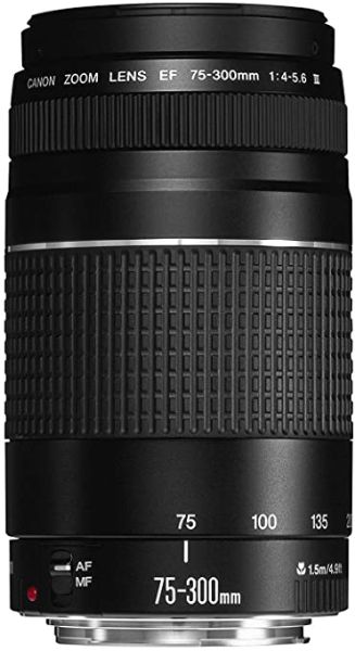 Picture of Canon EF 75-300mm f/4.0-5.6 III
