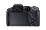 Picture of Canon EOS R7 