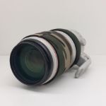 Immagine di Canon EF 100-400mm f/4.5-5.6L IS II USM - Usato